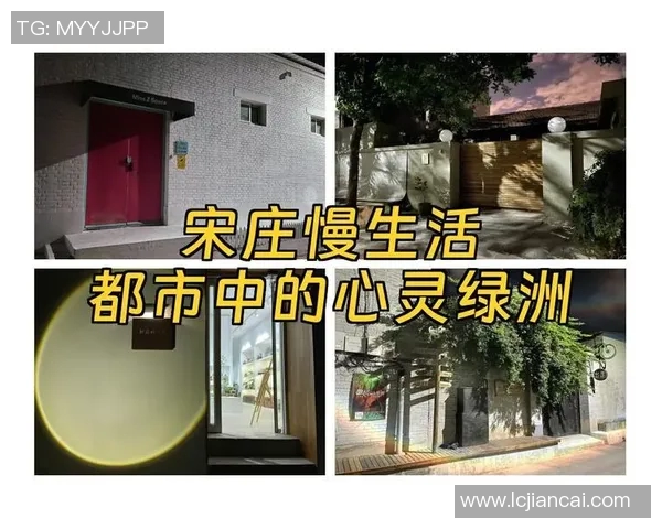 步行者视角下的城市探索与慢生活方式的深度体验分析